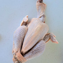 Load image into Gallery viewer, Stew (Mature) Chicken Whole $7/lb
