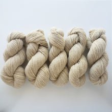 Load image into Gallery viewer, Shetland Silk Fingering 'Bare Naked'