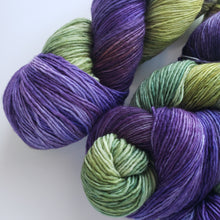 Load image into Gallery viewer, SW Merino Fingering 'Dutch Iris'