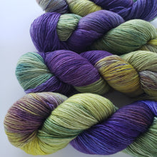 Load image into Gallery viewer, SW Merino Fingering 'Dutch Iris'