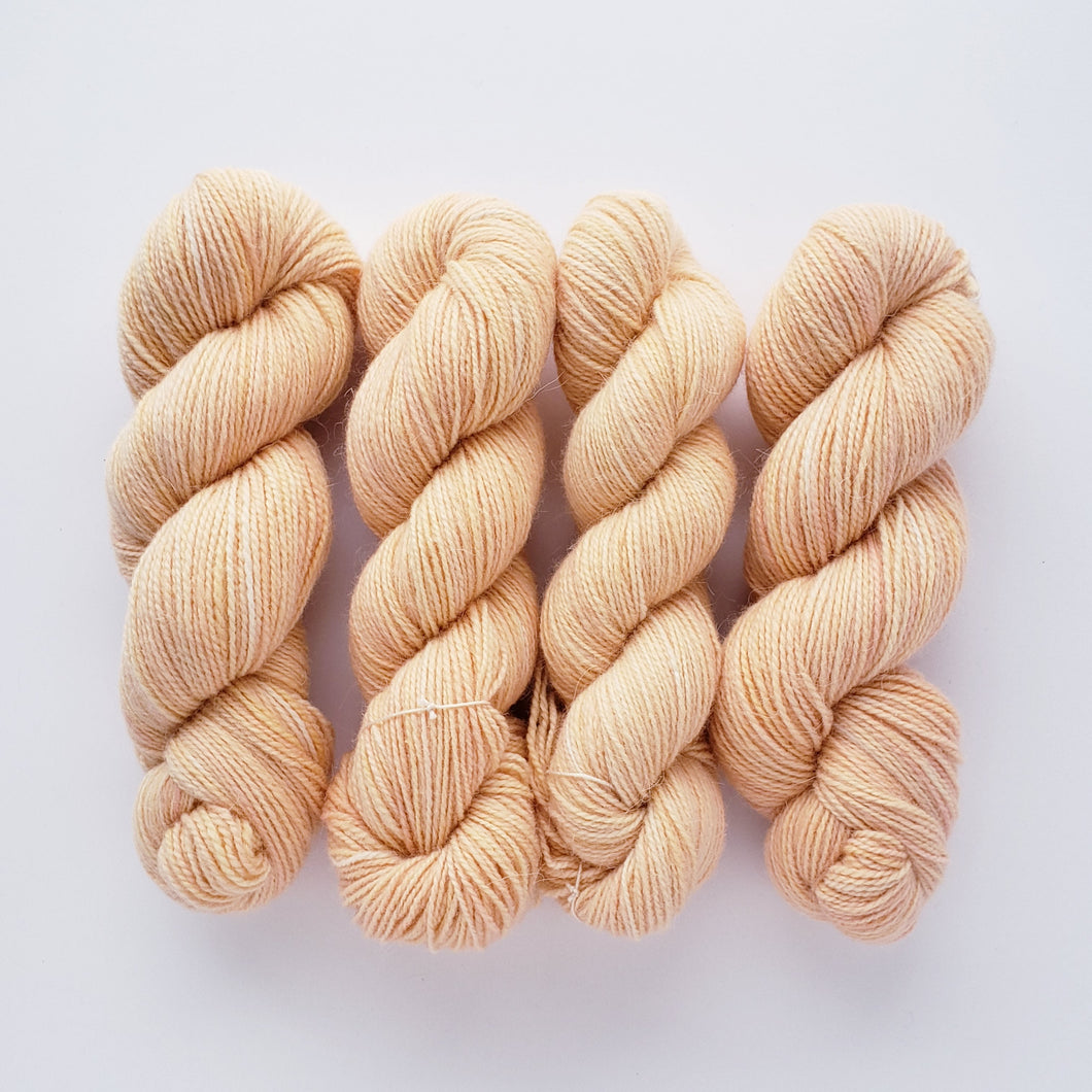 Angora Blizzard 'Creamsicle'