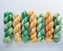 Load image into Gallery viewer, Angora Blizzard Fingering &#39;Fading Fields&#39;
