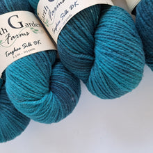 Load image into Gallery viewer, Targhee Silk DK &#39;Catfish&#39;
