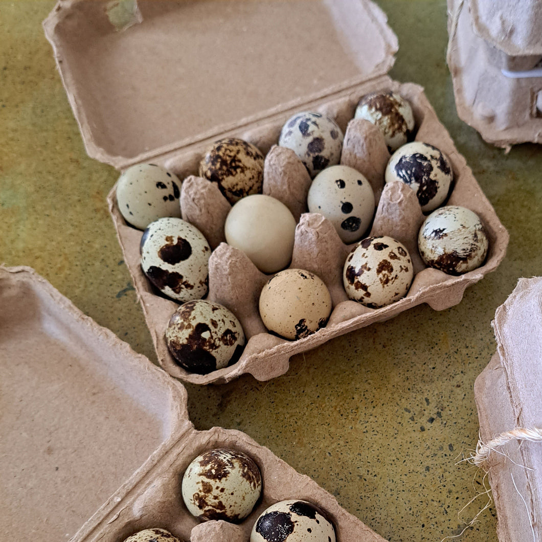 Quail Eggs - 12 Ct