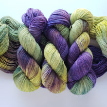 Load image into Gallery viewer, SW Merino Fingering &#39;Dutch Iris&#39;
