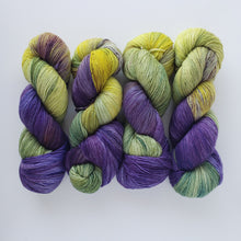 Load image into Gallery viewer, SW Merino Fingering &#39;Dutch Iris&#39;
