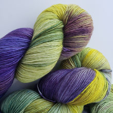 Load image into Gallery viewer, SW Merino Fingering &#39;Dutch Iris&#39;
