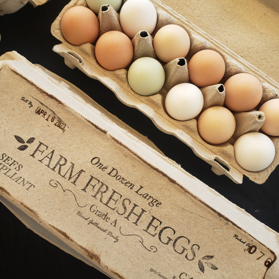 Free Range on Pasture Chicken Eggs