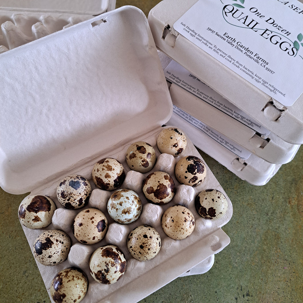 Quail Eggs - 15ct