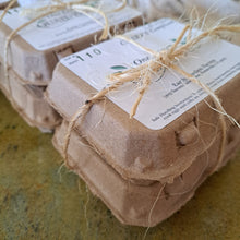 Load image into Gallery viewer, Quail Eggs - 24 Ct
