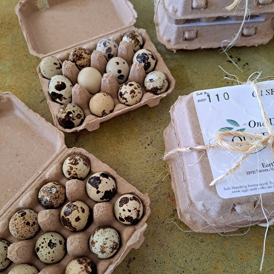 Quail Eggs - 24 Ct